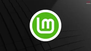 Leia mais sobre o artigo Como instalar o Linux Mint no teu PC: Guia completo para iniciantes